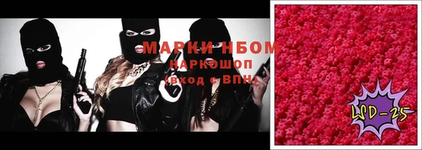 твердый Абаза