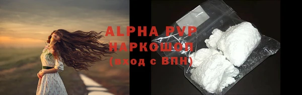 твердый Абаза