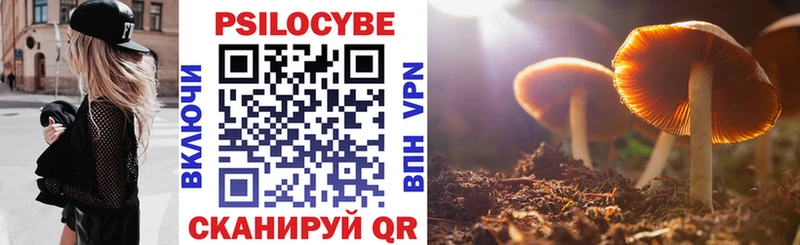 купить   Солигалич  Галлюциногенные грибы Cubensis 