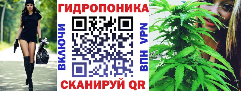 купить  цена  Солигалич  Бошки Шишки THC 21% 